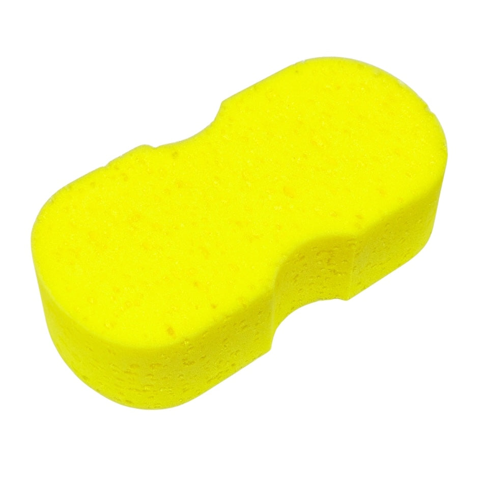 BIGNUT SPONGE