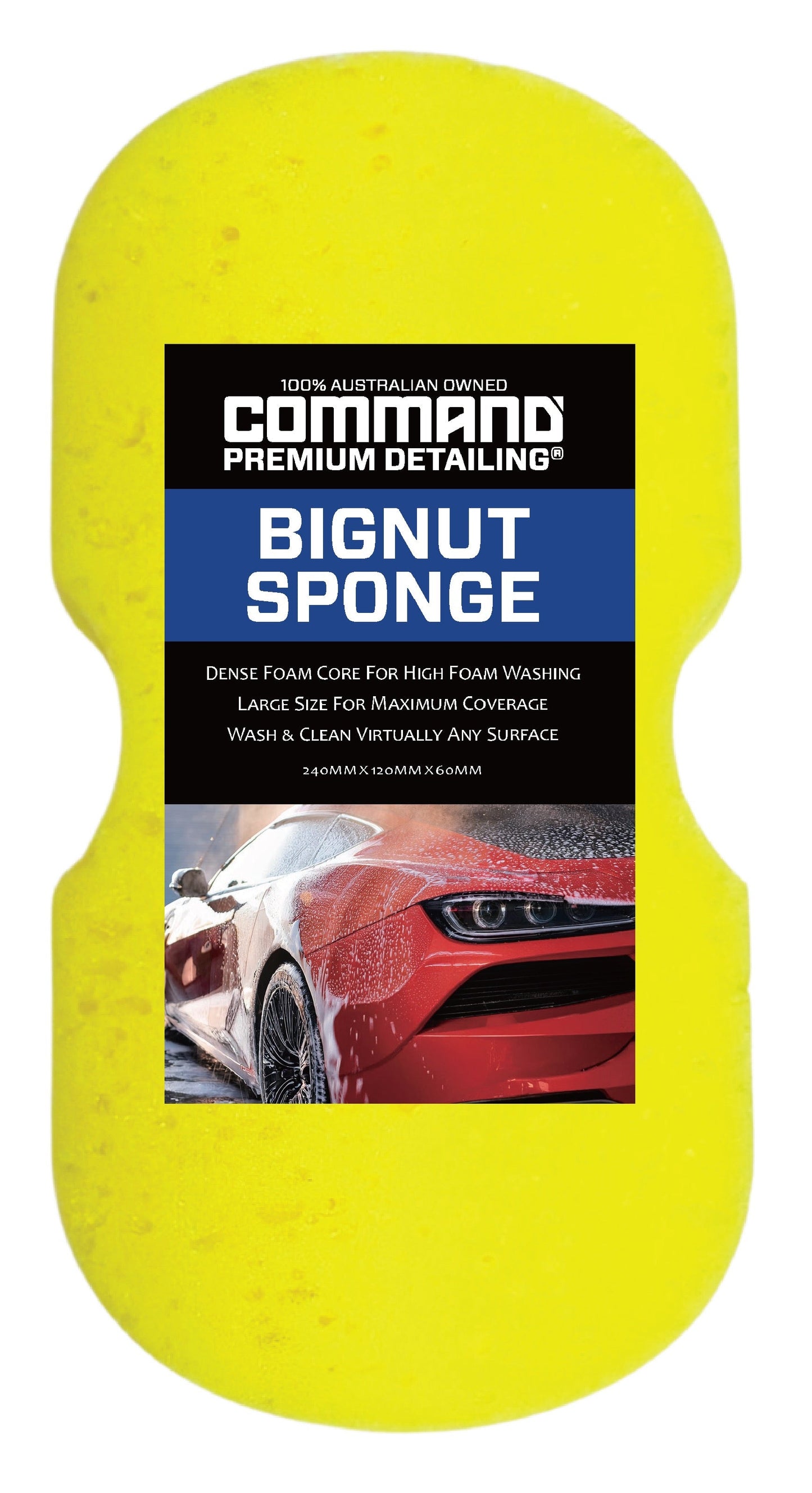 BIGNUT SPONGE