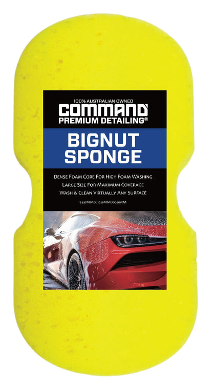 BIGNUT SPONGE