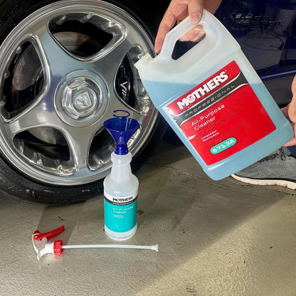 PROFESSIONAL ALL-PURPOSE CLEANER